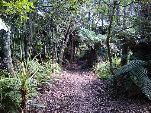 Waikato River Trails